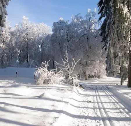 Gasthof Rohrig Guest house